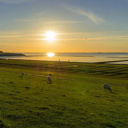 Apartment In With Wifi *